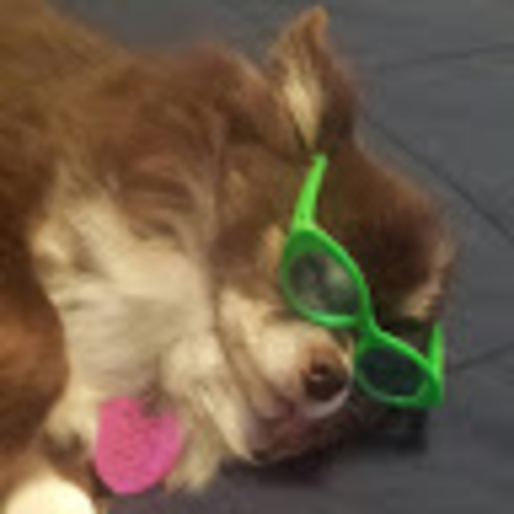 Meet your Posher, Virginia